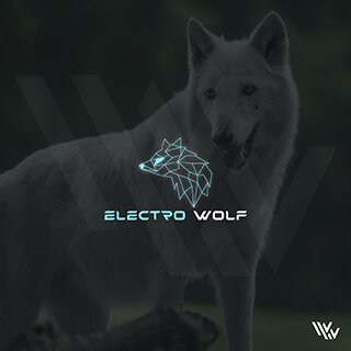 geometric-logo-design-services-webbywide6-320x320-01